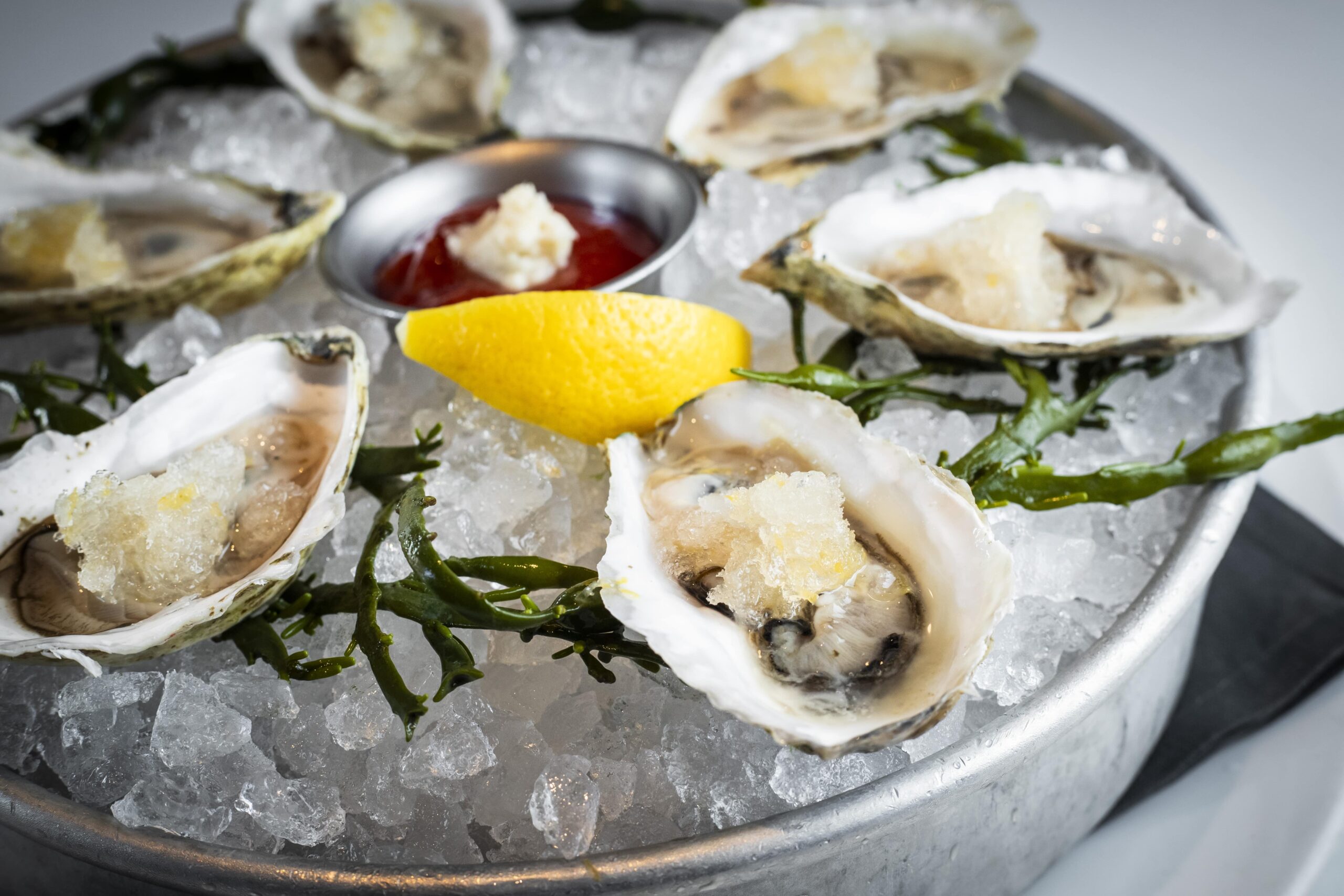 Oysters with frozen champagne granita