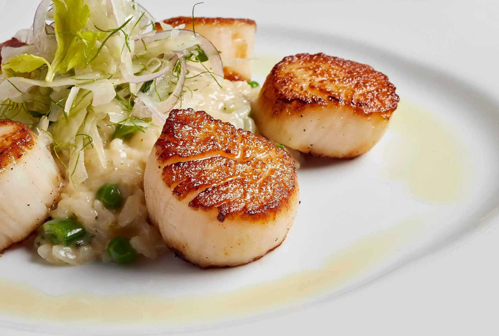 Scallops on a plate at Ocean Prime